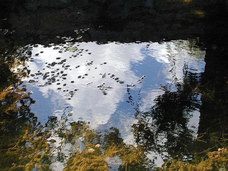 Wallpapers Nature Water - Reflection Reflets