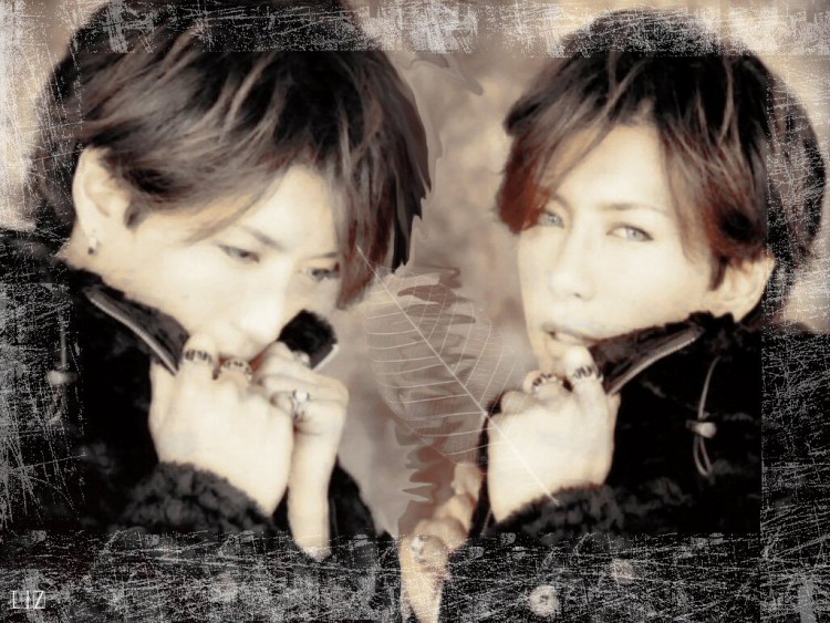 Fonds d'cran Musique Gackt Sorrow or shyness