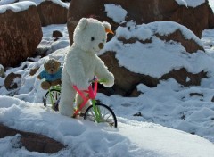 Wallpapers Objects Petit Ours Blanc spcialiste du VTT sur neige et glace...