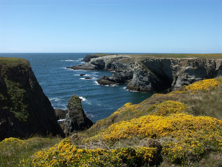 Fonds d'cran Voyages : Europe France > Bretagne Belle_Ile fleurie en mai