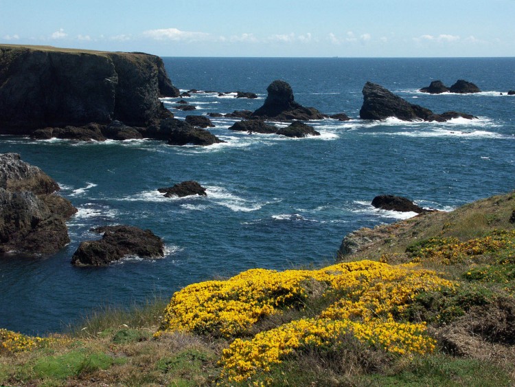 Fonds d'cran Voyages : Europe France > Bretagne Belle_Ile fleurie en mai