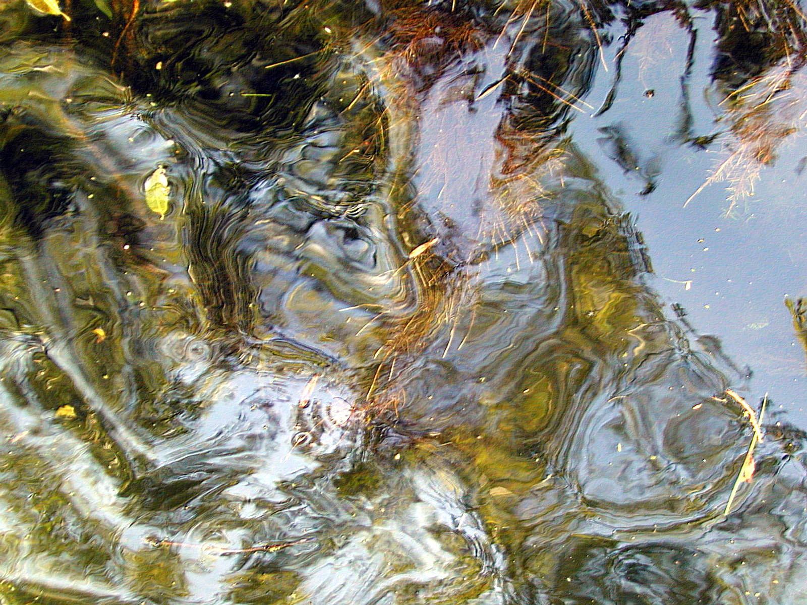 Wallpapers Nature Water - Reflection Reflets