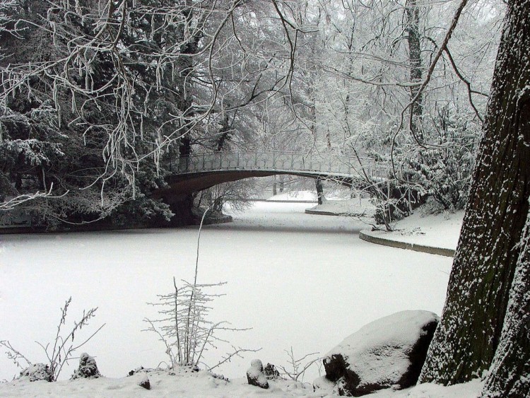 Fonds d'cran Nature Saisons - Hiver Saison d'hiver