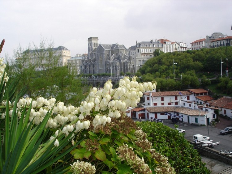 Wallpapers Trips : Europ France > Aquitaine Vue de Biarritz .