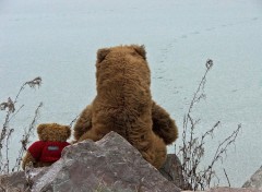 Fonds d'cran Objets Education chez les Ours : se nourrir avec parcimonie...