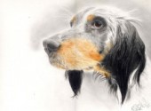 Fonds d'cran Art - Crayon Stan le chien