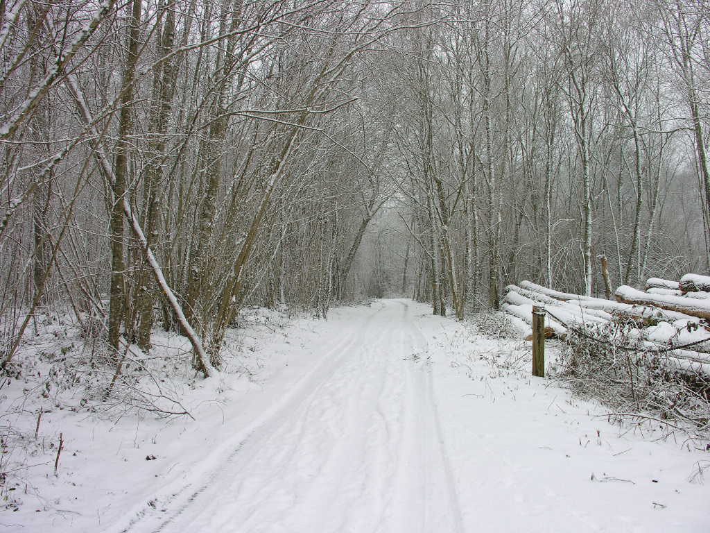 Fonds d'cran Nature Saisons - Hiver 