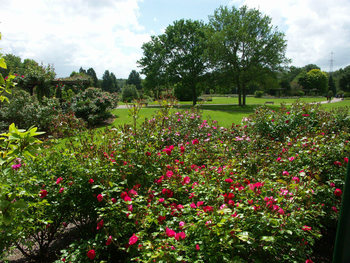 Wallpapers Nature Parks - Gardens Parc floral de Nantes.