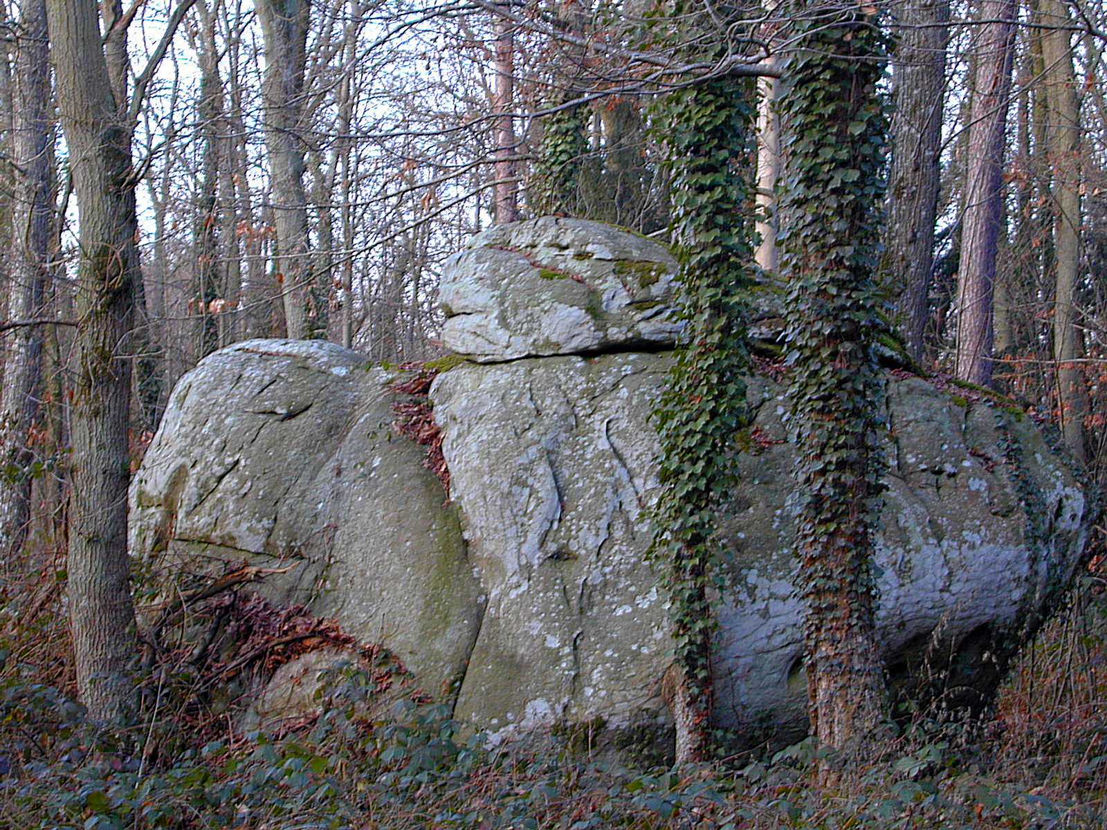 Fonds d'cran Nature Roches - Pierres - Sables  Roches de la fort de Nemours