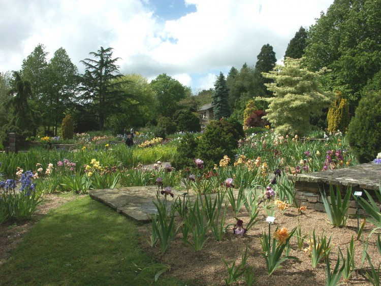 Wallpapers Nature Parks - Gardens Parc floral de Nantes.