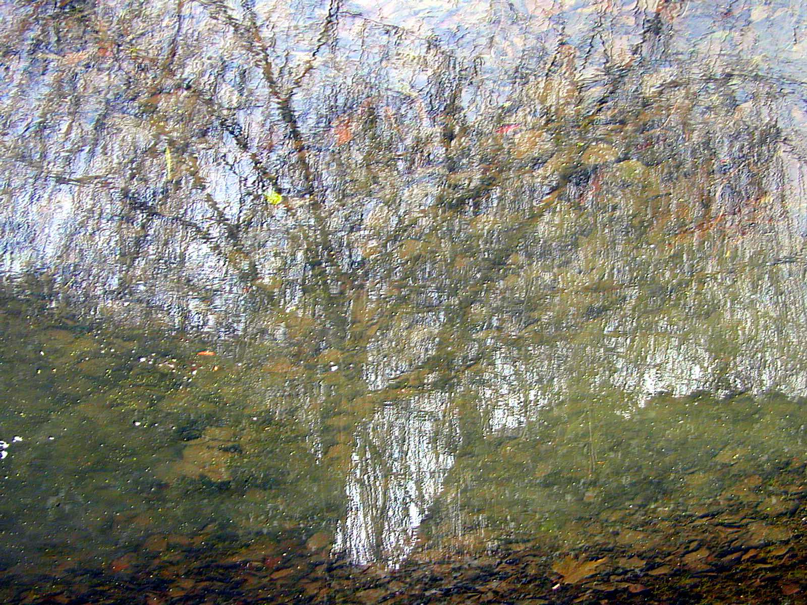 Wallpapers Nature Water - Reflection Reflets