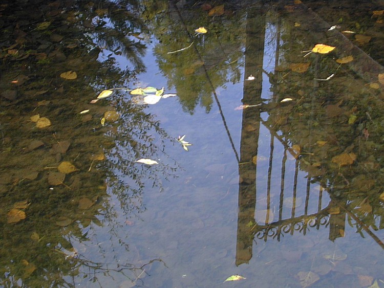 Wallpapers Nature Water - Reflection Reflets