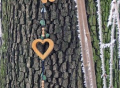 Fonds d'cran Objets Coeur de Nounours : Vive la St Valentin !