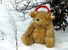 Fonds d'cran Objets Nounours a froid aux oreilles...