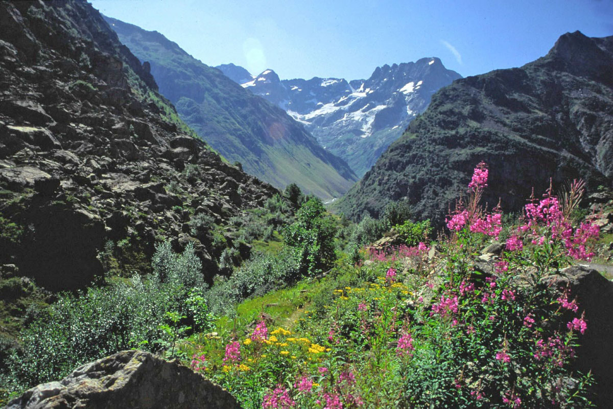 Fonds d'cran Nature Montagnes Les Ecrins