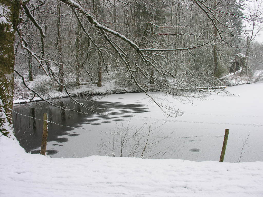 Fonds d'cran Nature Saisons - Hiver 