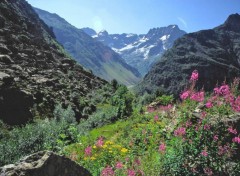 Wallpapers Nature Les Ecrins