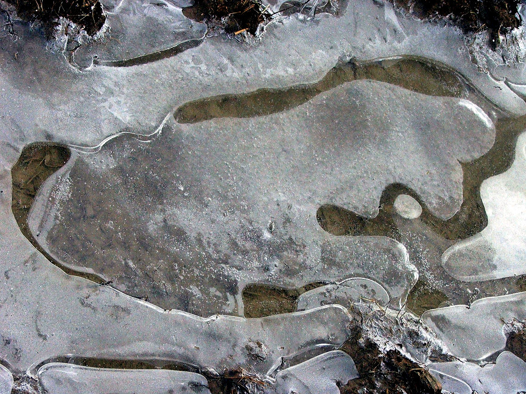 Fonds d'cran Nature Saisons - Hiver Saison du gel