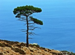 Wallpapers Trips : Europ Ile de Karpathos (Grce)