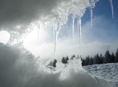 Wallpapers Nature Dans un igloo