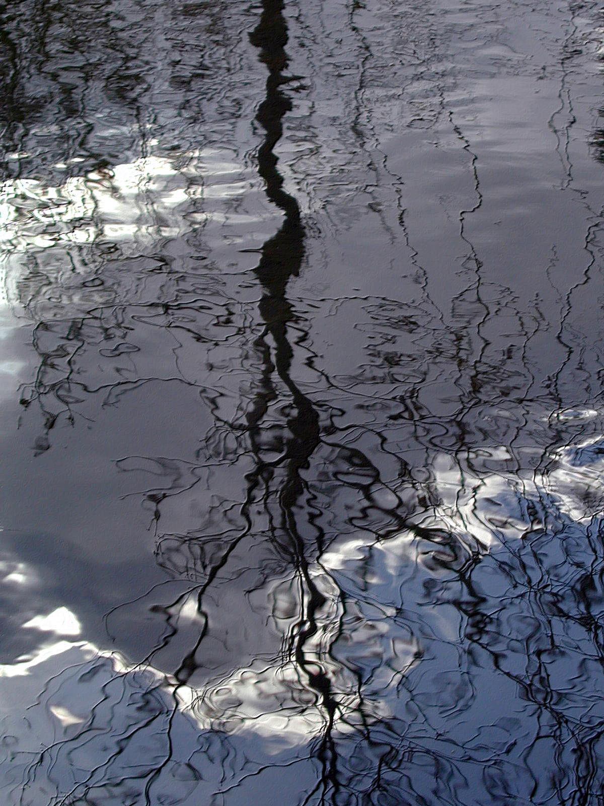 Wallpapers Nature Water - Reflection Reflets