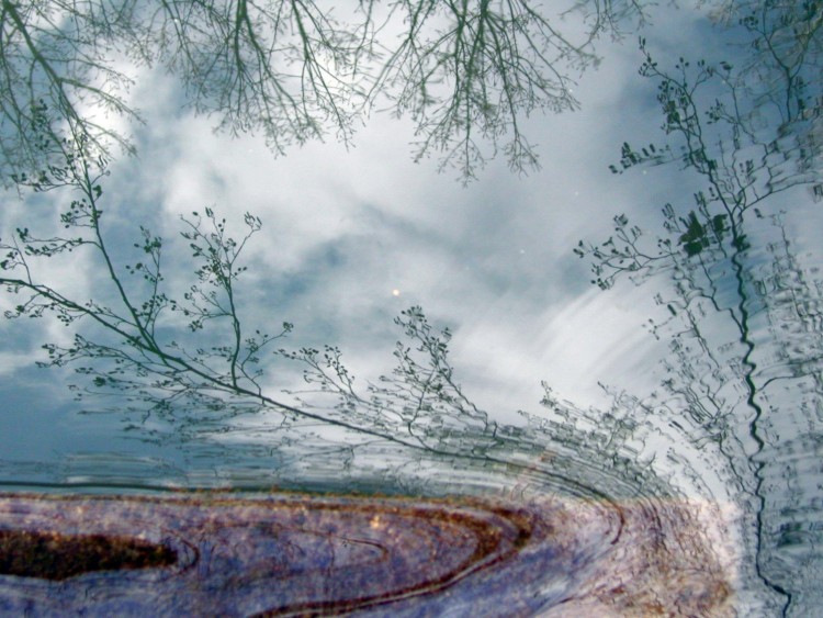 Wallpapers Nature Water - Reflection Reflets