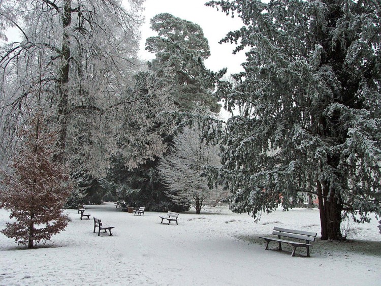 Fonds d'cran Nature Saisons - Hiver Saison d'hiver