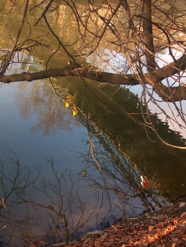 Wallpapers Nature Water - Reflection La passerelle de l'le Barbe