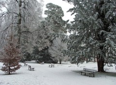 Fonds d'cran Nature Saison d'hiver