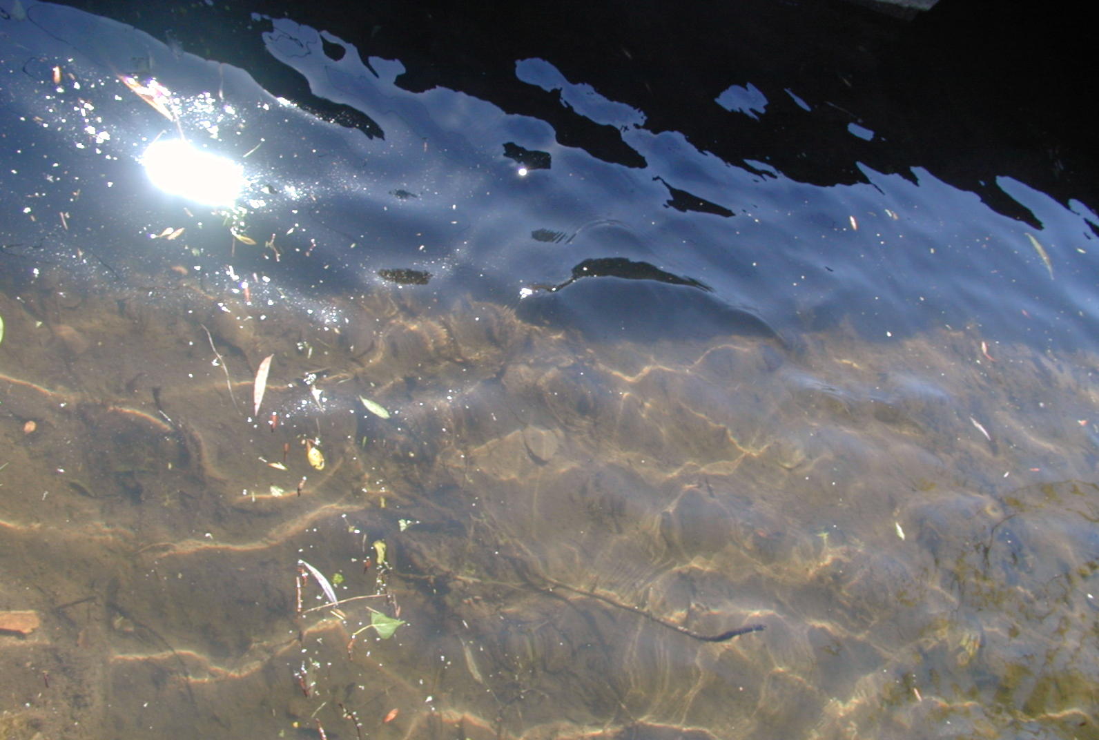 Wallpapers Nature Water - Reflection Reflets