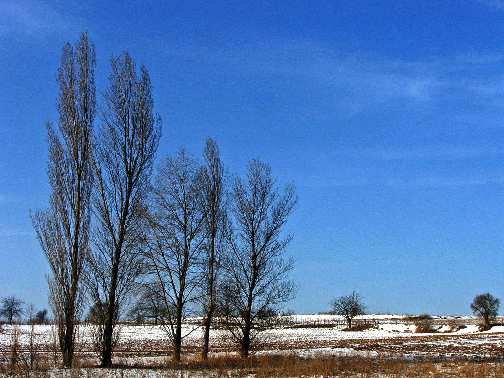 Fonds d'cran Nature Saisons - Hiver Saison d'hiver