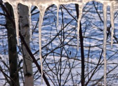 Fonds d'cran Nature Saison d'hiver