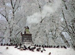 Fonds d'cran Nature Saison d'hiver