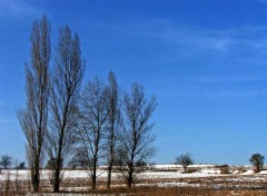 Fonds d'cran Nature Saison d'hiver