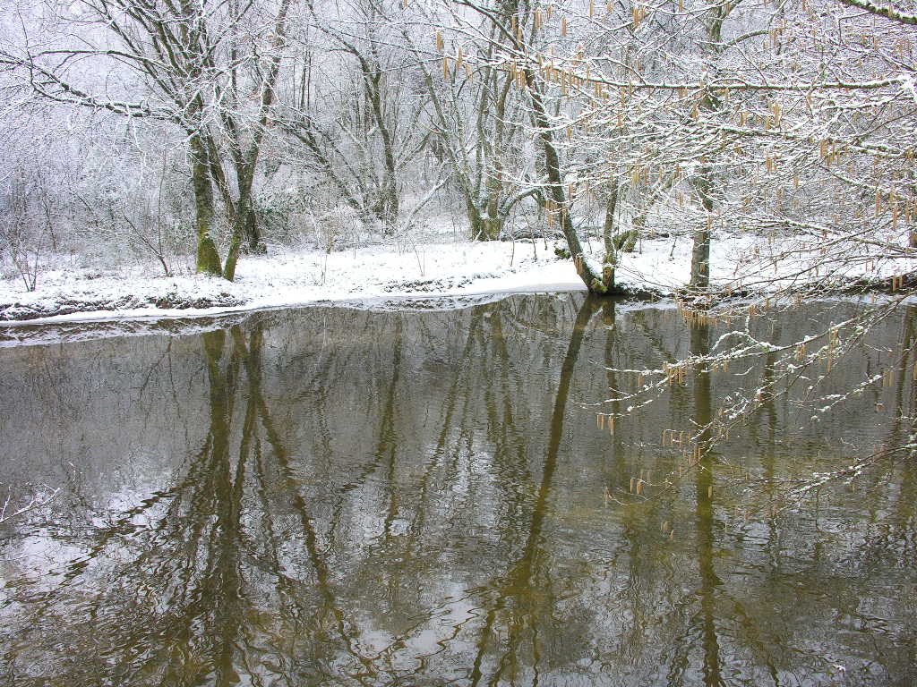 Fonds d'cran Nature Saisons - Hiver 