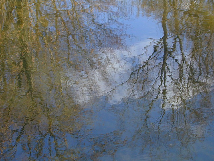 Wallpapers Nature Water - Reflection Reflets