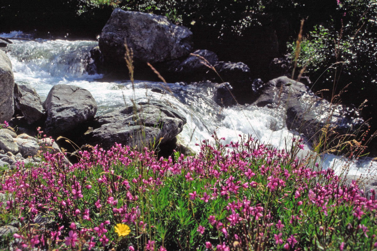 Wallpapers Nature Waterfalls Les Ecrins