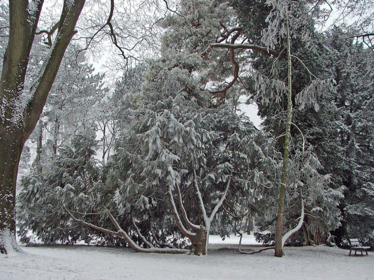 Fonds d'cran Nature Saisons - Hiver Saison d'hiver