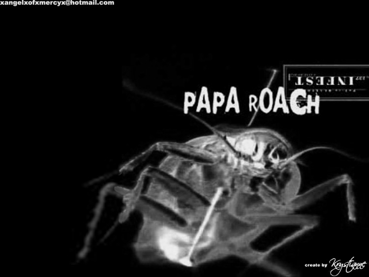 Fonds d'cran Musique Papa Roach Infest