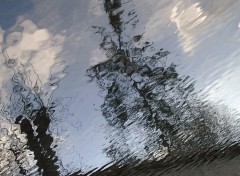 Wallpapers Nature Reflets