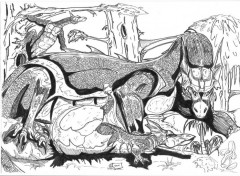 Wallpapers Art - Pencil naissance de dragons.