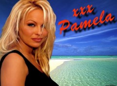 Fonds d'cran Charme Pamela Anderson