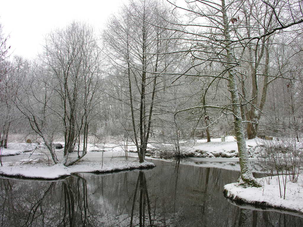 Fonds d'cran Nature Saisons - Hiver 