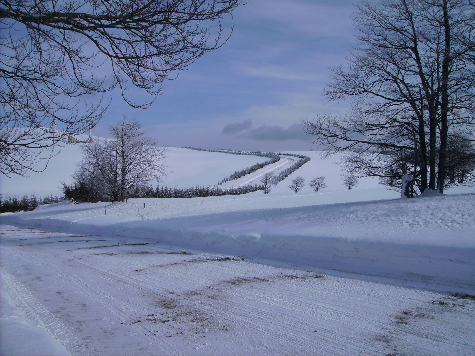 Fonds d'cran Nature Saisons - Hiver RO, Mt Semenic