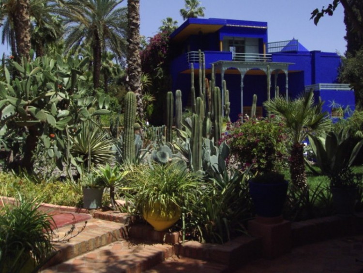 Fonds d'cran Voyages : Afrique Maroc les jardins de majorelle (maroc)