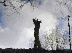 Wallpapers Nature Reflets