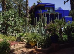 Fonds d'cran Voyages : Afrique les jardins de majorelle (maroc)