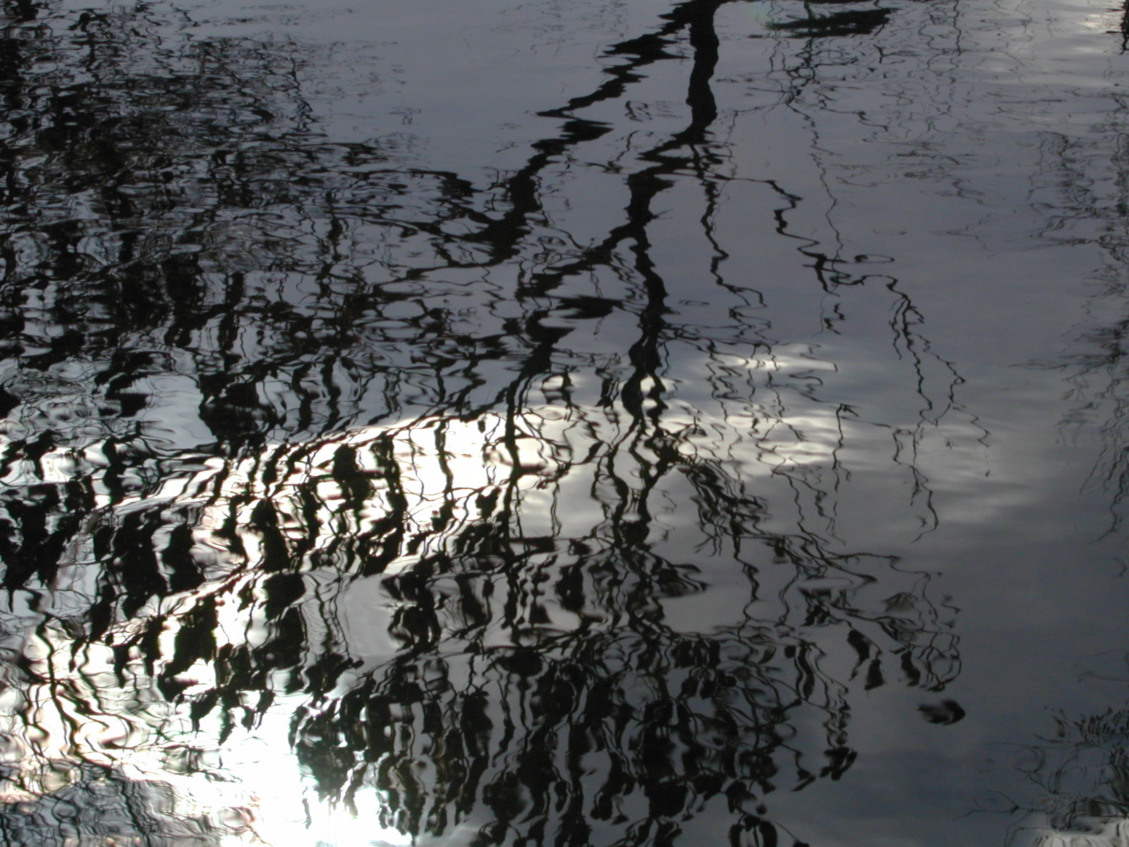 Wallpapers Nature Water - Reflection Reflets