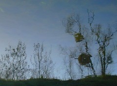 Fonds d'cran Nature Reflets