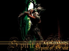 Fonds d'cran Jeux Vido Guild Spirit of Gaia (SOG)